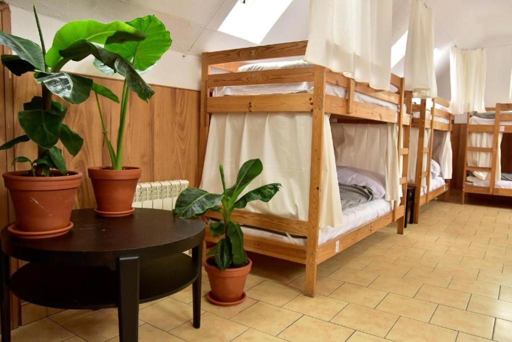 Mimosa Rooms Poznan Exterior photo
